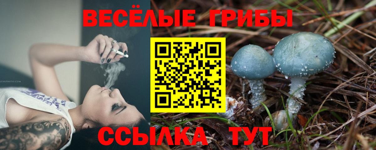 Псилоцибиновые грибы Psilocybine cubensis  Вход с VPN  купить наркотик  Северодвинск 